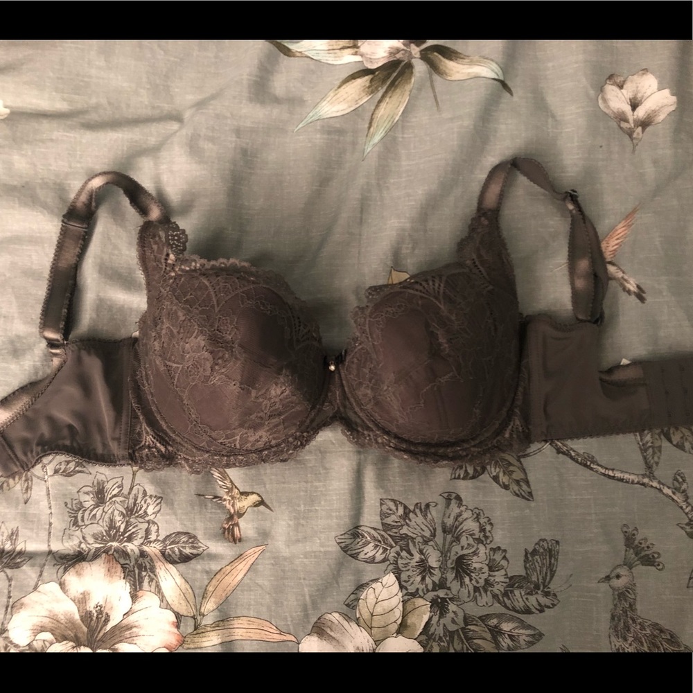 30FF/30H Alegro Lingerie Gray Lace Bra